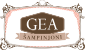 Gea com d.o.o.